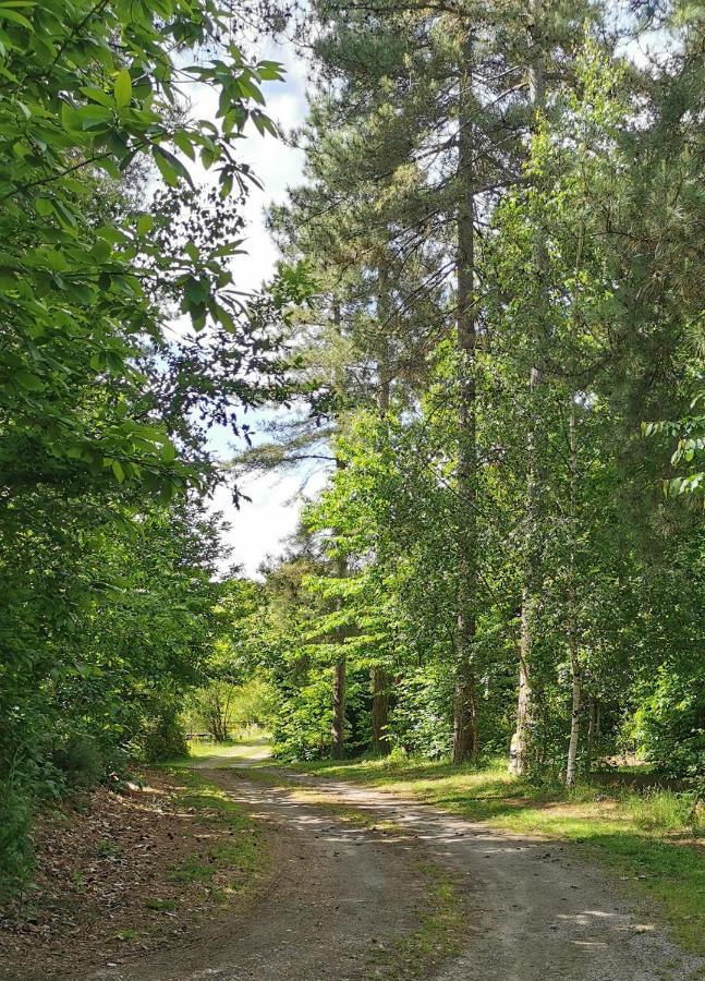 Camping De La Chagnee Saint-Aubin-le-Cloud Exteriér fotografie